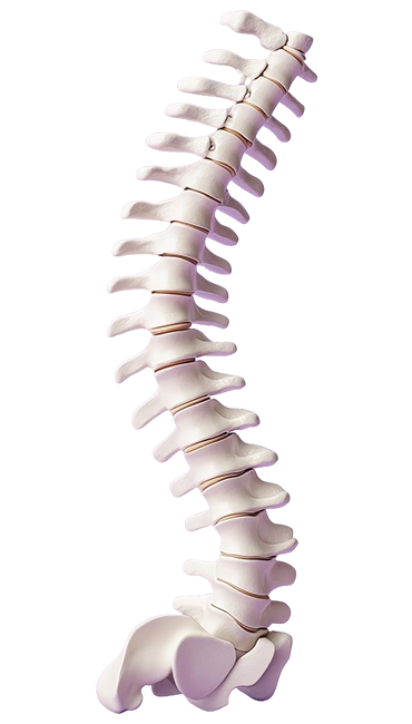 Quais as vantagens da Cirurgia Endoscópica da Coluna Vertebral?